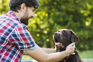 close-up-man-stroking-his-dog